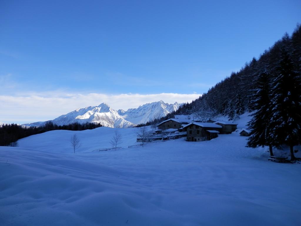 Casa Vacanza Dal Contadino Cir O17063 Corteno Golgi Rum bild